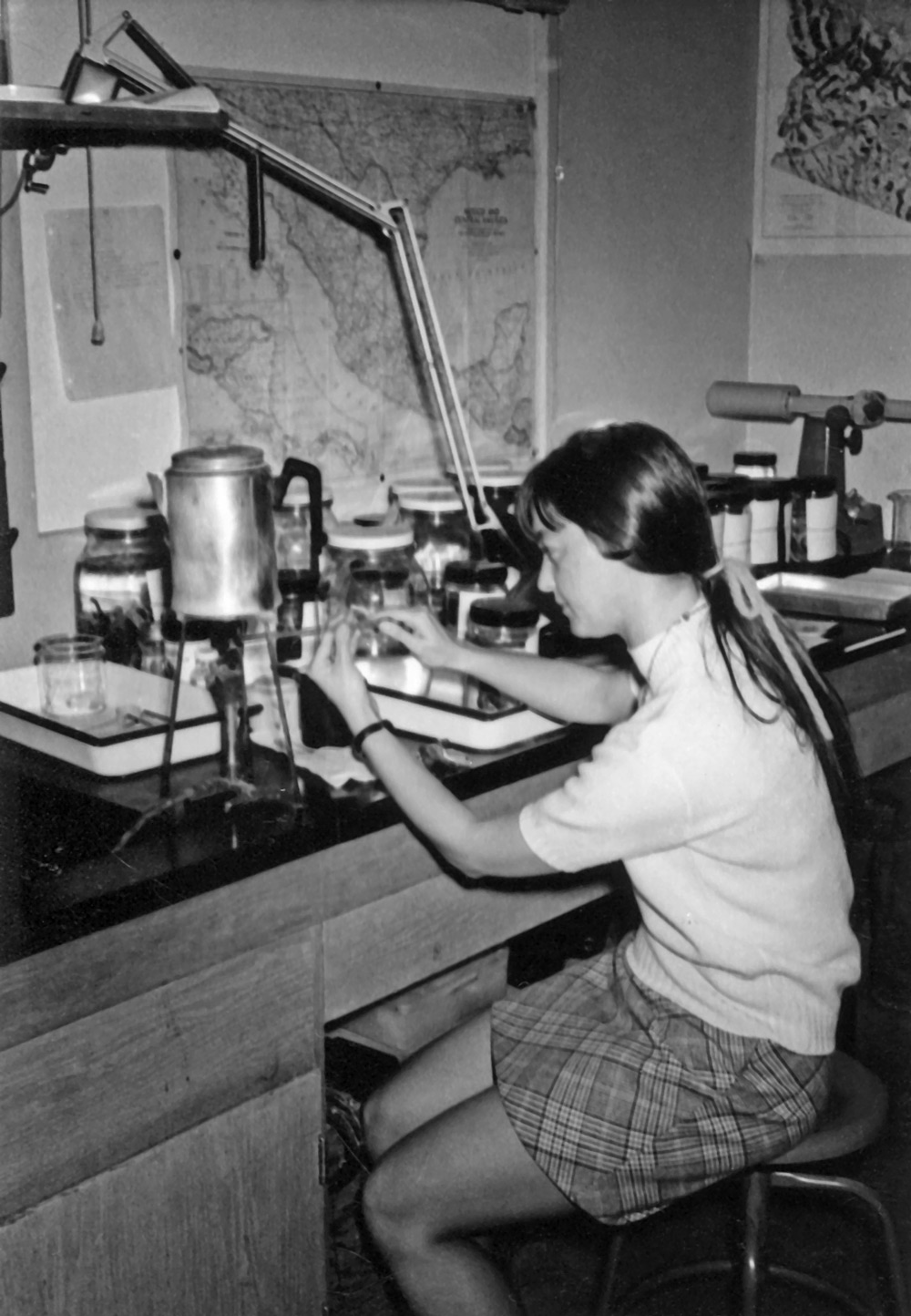 Annette Halpern at Lowe lab, photo by Oscar Soule.