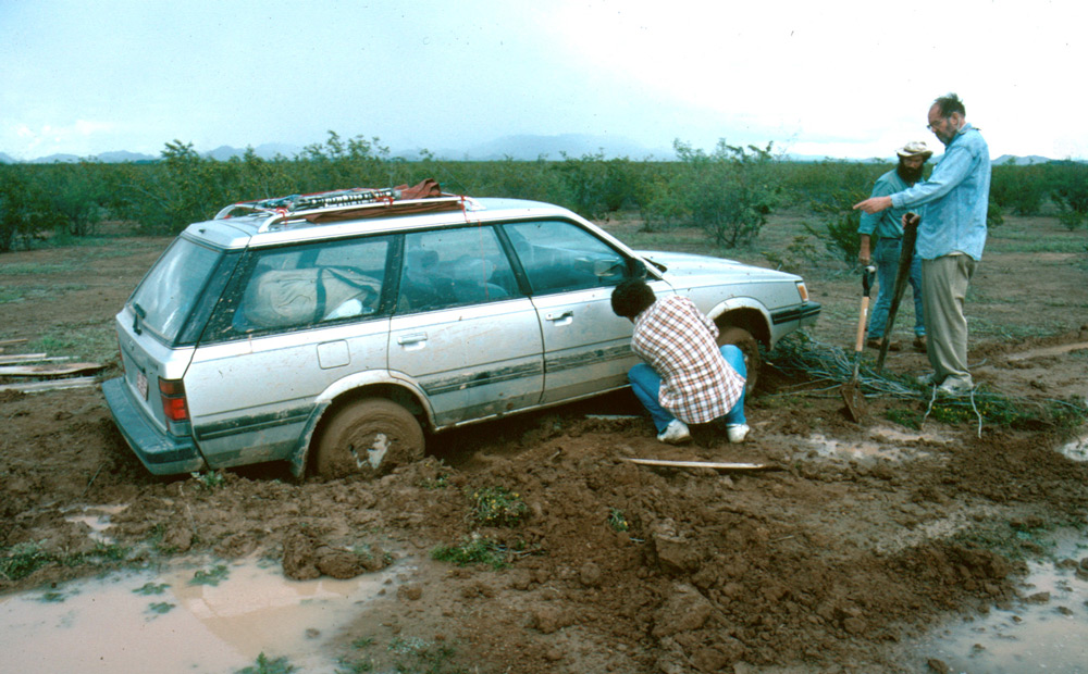 Wrong turn to Star Dune - Subaru stuck in mud in the Gran Desierto