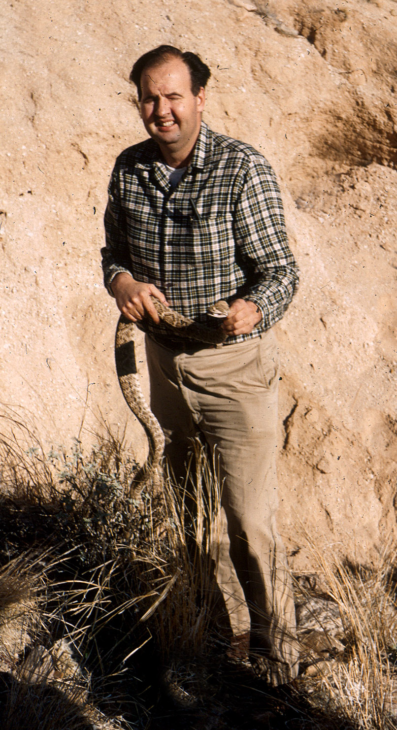 Charles Lowe, Crotalus atrox