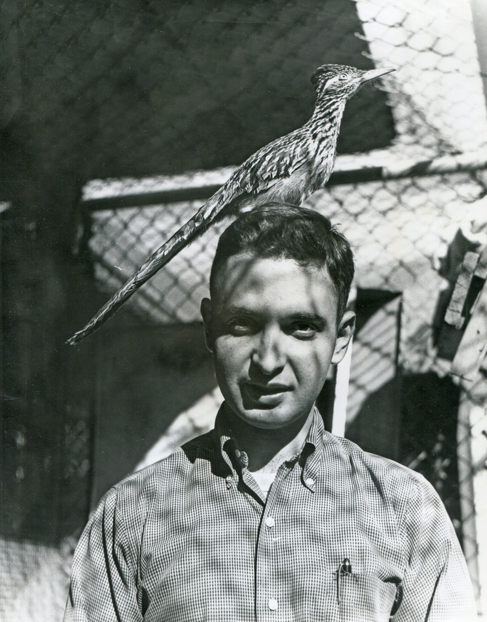 Steve Goldberg with roadrunner perched on his head
